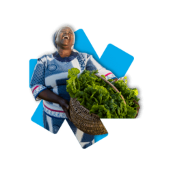 Pay Farm