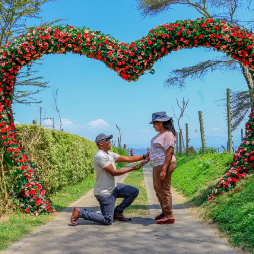 Honeymoon Packages