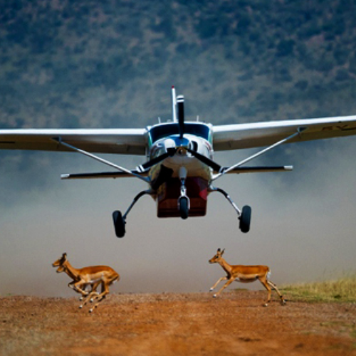 Plane Tours.