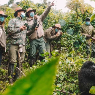 Trekking Tours