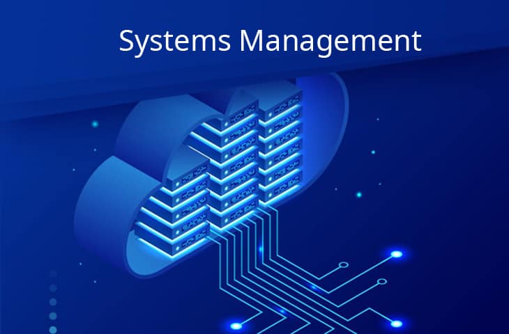 IT Systems Management